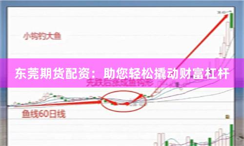 东莞期货配资：助您轻松撬动财富杠杆