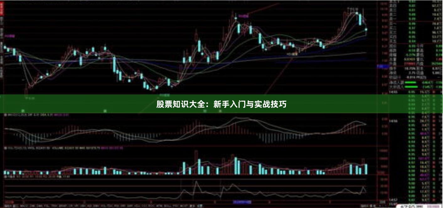 股票知识大全：新手入门与实战技巧